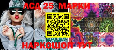 2c-b Камышлов