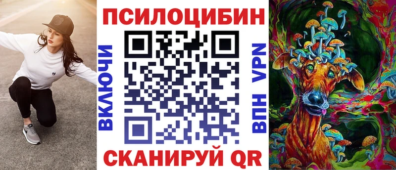 Псилоцибиновые грибы MAGIC MUSHROOMS  KRAKEN зеркало  Новочеркасск 
